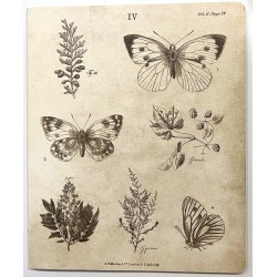Cahier 18 pages 7,5 x 9 po - Heidi Swapp - botanic