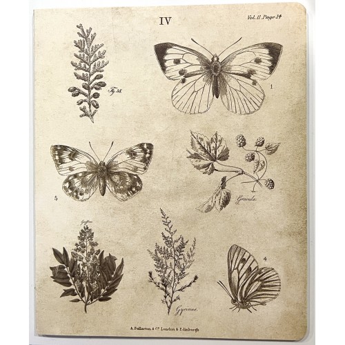 Cahier 18 pages 7,5 x 9 po - Heidi Swapp - botanic